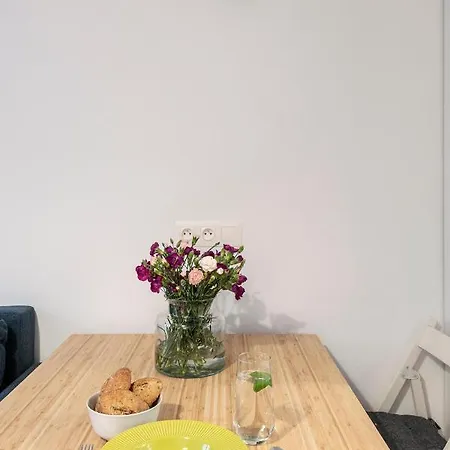 Apartament Shortstaypoland Okrąg *